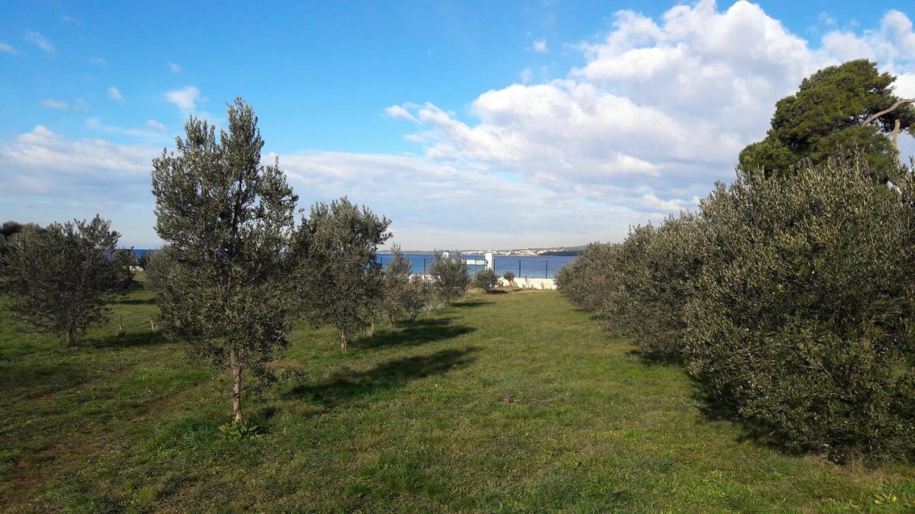Villa Rosemary Park Zadar Exterior foto