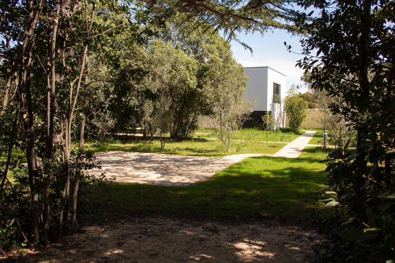 Villa Rosemary Park Zadar Exterior foto