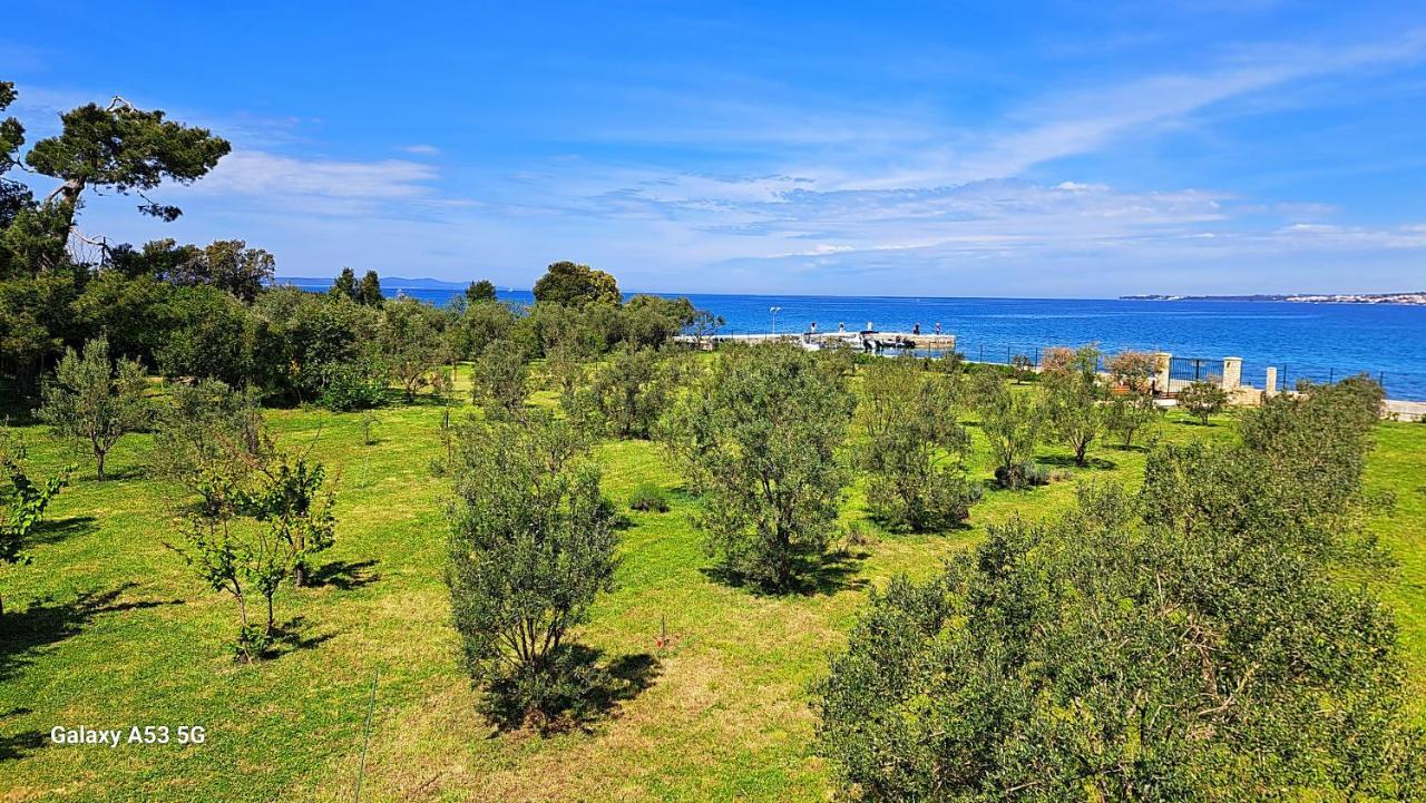 Villa Rosemary Park Zadar Exterior foto